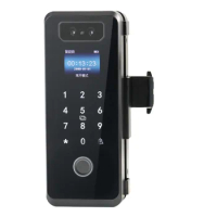 face recognition fingerprint automatic door lock for sliding glass wooden door fingerprint tuya wifi smart door lock with