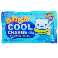 【日本紀陽】進口保冷劑-袋裝-400g-6包入(保冷劑)