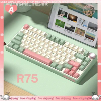 RK R75 Mechanical Keyboard 3 Mode 2.4G Wireless Bluetooth Keyboard 81 Keys RGB Backlight Keycap PBT Hot Swap Gamer Keyboard Gift