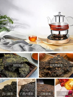 全自動煮茶器蒸汽噴淋煮茶壺玻璃電茶壺電熱水壺小型家用黑茶專用