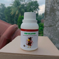 Obat Ayam Ngorok Pilek Flu Cekrek ( CRD BLASTER ) Cara Paling Ampuh untuk Mencegah dan Mengatasi Pen