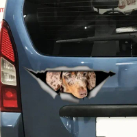 Double chocolate mini dachshund decal, dachshund magnet, pet decal, dachshund sticker
