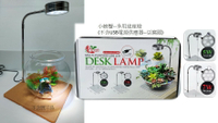 小螃蟹 Crab Aqua 多用途 USB  LED 檯燈 燈  LED燈 太陽燈(無豆腐頭) 多肉盆栽 魚缸 寵物箱