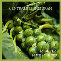 30 BUTIR BENIH BIBIT TANAMAN KUBIS BRUSSELS HIJAU