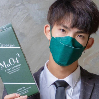 唯心思 - 【元素】MnO4 成人10片 3D口罩 獨立包裝 MnO4 墨綠色 10pcs