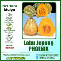 2 Biji - Benih Labu Import PHOENIX 0763 - Bibit Tanaman Buah Dan Sayur Bibit Labu Air
