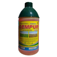 GEMPUR 480SL HERBISIDA obat pembasmi rumput basmi rumput Tanaman