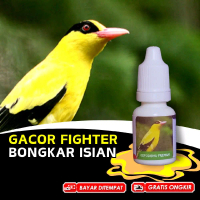 Vitamin Burung Kepodang Emas