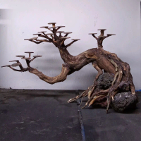 Bonsai Aquascape untuk akuarium 60-80cm