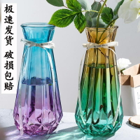 百合花專用花瓶北歐風格特大號玻璃透明水養富貴竹轉運客廳插花