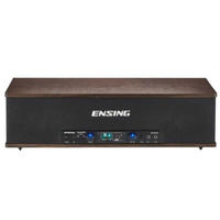 ENSING 燕聲 ESY-500SB 藍芽+MP3+FM 頂級 卡拉OK 音響 擴音機 喇叭 | 金曲音響
