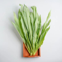 Fumak 250 g