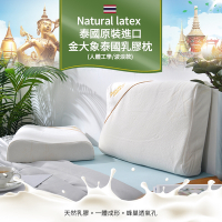 【Natural latex】泰國原裝進口金大象泰國乳膠枕1入(人體工學/波浪款/Q彈支撐/釋壓舒眠)