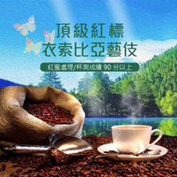 咖啡 紅標衣索比亞藝伎咖啡豆/黑咖啡現貨/中淺焙 贈咖啡杯 半磅225g±5％