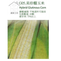 【蔬菜工坊】G05.糯玉米種子(美珍)