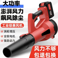 【台灣公司 可開發票】德國大功率吹風機吹灰塵鼓風機工業用充電式吹風機高壓吹塵槍掃地