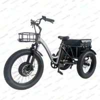 Mid drive e-bike motor kit electric bicycle 3 wheel adult electric tricycles
