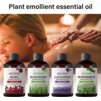 Organic Pure Lavender Essential Oil (New) Natural Bulk Hair Care Skin Care Massage Oil Peppermint Rose Rosemary Essential Oil