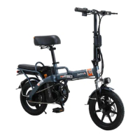 1000W Powerful Foldable 20 Inches High Speed Adult Bike Mountain Fat Tire Dual Motor Battery Cycle Electric Bicycle