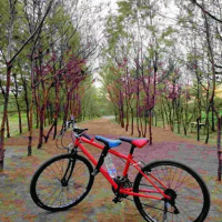 Boncengan Depan Anak Sepeda Mtb (Satu Set+Sadel) Pasti Ori