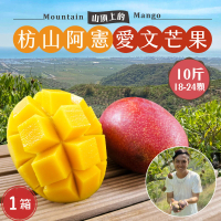 預購 初品果 枋山阿憲愛文芒果18-24顆x1箱(含箱重10斤_山頂上的愛文芒果)