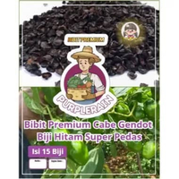 Bibit Premium Cabe Gendot Biji Hitam Super Pedas| Biji Benih Cabe Gendot Biji Hitam | Cabe Gendot