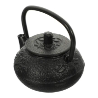 Teapot Tea Kettle Japanese Iron Set Cast Chinese Pot Tetsubin Mini Coffee Stove Water Loose Stovetop Vintage Maker Boiling Fu