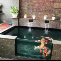 taman kolam ikan mancur/kolam ikan koi minimalis/kolam ikan kaca