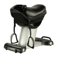 Fitness Sport Exercise Equipment/Horse Riding Machine Enpower TA-022