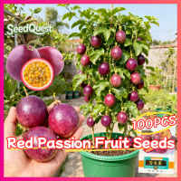 100% Legit 100pcs Fresh Purple Red Passion Fruit Seeds for Planting Fruit Trees High Yield Dwarf Bon