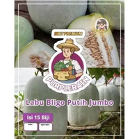 Bibit Premium Labu Bligo Putih Jumbo | Biji Benih Labu Bligo Putih Jumbo | Labu Bligo