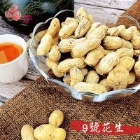 9號花生 小花生 600克 黑金剛花生 花生 蒜味 甘甜花生 零食 休閒食品 小零食 下酒菜【正心堂】
