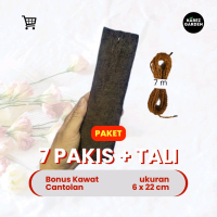 paket 7 pakis bonus tali & cantolan media tanam