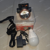 Senter kepala fox GE-221 charger