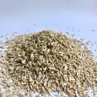 BIJI ADAS MANIS PREMIUM | FENNEL SEED | ADAS MANIS