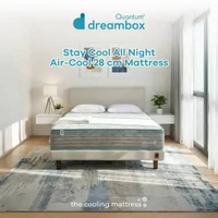 Quantum Dreambox Kasur Dingin Air-Cool 28cm / Cooling Mattress / Pocket Spring Bed Vakum 90 x 200
