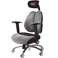 【GXG 吉加吉】雙軸枕 DUO KING 工學椅 鋁腳/摺疊升降扶手(TW-3606 LUA1)