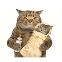 ISG Burrito Tortilla Blanket – Soft Plush Food Throw for Bed, Sofa, and Bedspread; Decorative Campin