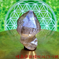 煙晶骨幹權杖0623-5號 ~消病氣與化煞鎮宅的長老~ 骨幹水晶 水晶長老