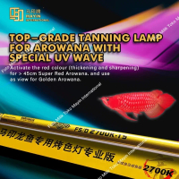 LAMPU TANNING CELUP SUBMERSIBLE T5 MAYIN 2700K AQUARIUM IKAN ARWANA