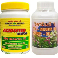 COMBO KÍCH CHỒI, KÍCH RỄ PHONG LAN: phân bón lá Growmore NPK 30-10-10 100gram và vitamin B1 grofer s