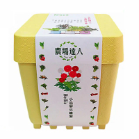 【蔬菜工坊004-D07】iPlant小農場系列-小品菊