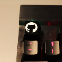 Cute Moon Cat Relief Design OEM Resin Black Backlit Keycap For Cherry Mx Gateron Kailh Box TTC Switch Mechanical Gaming Keyboard