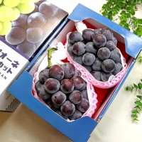 【切果季】日本巨峰貓眼葡萄2房x1盒(1.4kg/盒_禮盒裝)(中秋禮盒)