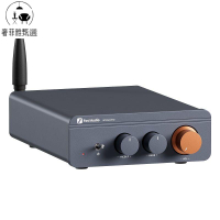 12h出貨 功放機 110V擴大機 FosiAudio BT20APRO藍牙5.0雙聲道數字功放機小家用發燒級D類功放