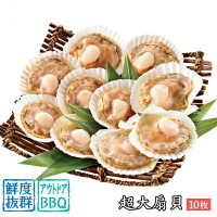 【永鮮好食】特大扇貝( 10入/包 ) 產地直送 火鍋 燒烤 海鮮 生鮮