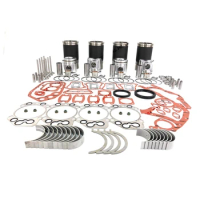 D924T Overhaul Kit for LIEBHERR Engine Spare Parts