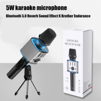 Children's Microphone Karaoke Room Machine Home System Portable Bluetooth Speaker Free Shipping with Wireless Mic For Kid