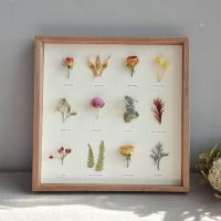 熱賣預購－乾燥花束相框4 植物標本擺飾 掛牆 創意手工復古飾品
