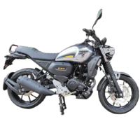 【YAMAHA 山葉】FZ-X 電鍍油箱(白牌/檔車/普洛吉村重機/平輸車)